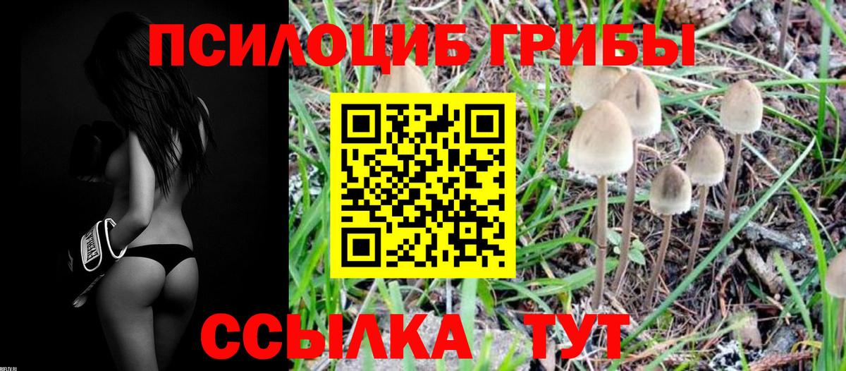 Корсаков  купить  сайты  Вход с VPN  Галлюциногенные грибы Magic Shrooms  Псилоцибиновые грибы GOLDEN TEACHER 