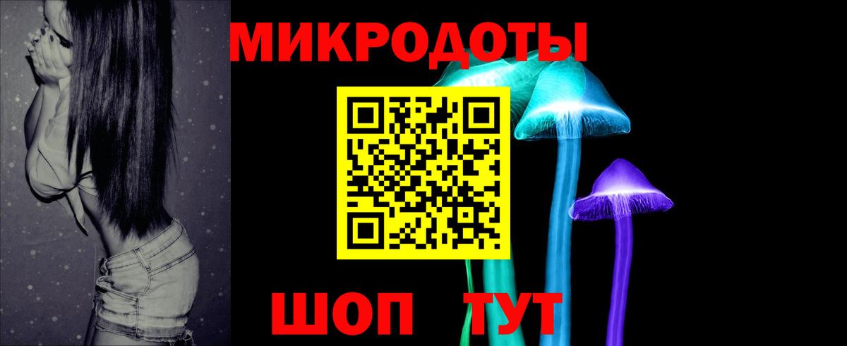 Галлюциногенные грибы Psilocybine cubensis Корсаков